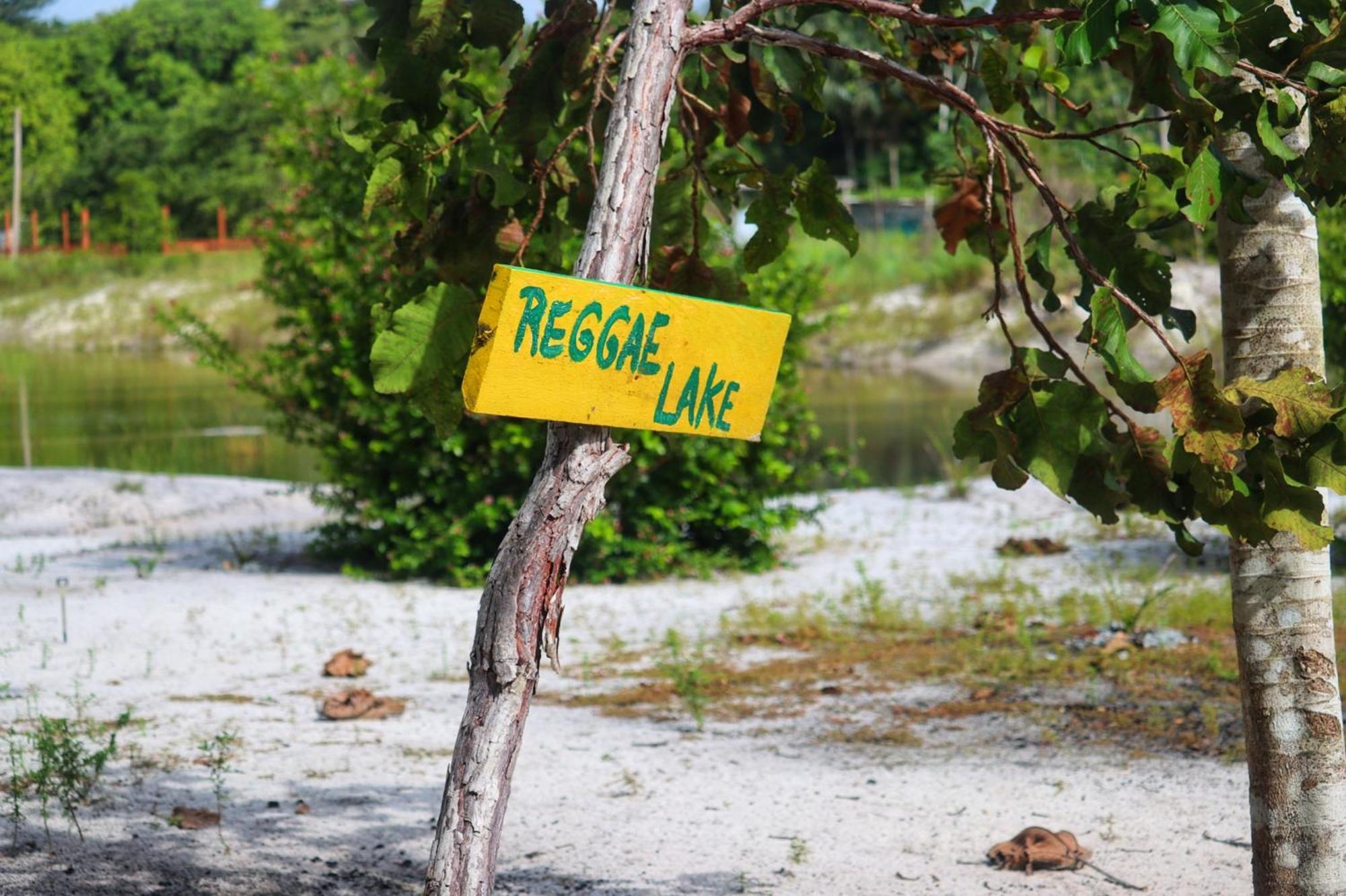 Land Of Promise - Reggae Bar & Eco Village Zanderij 外观 照片