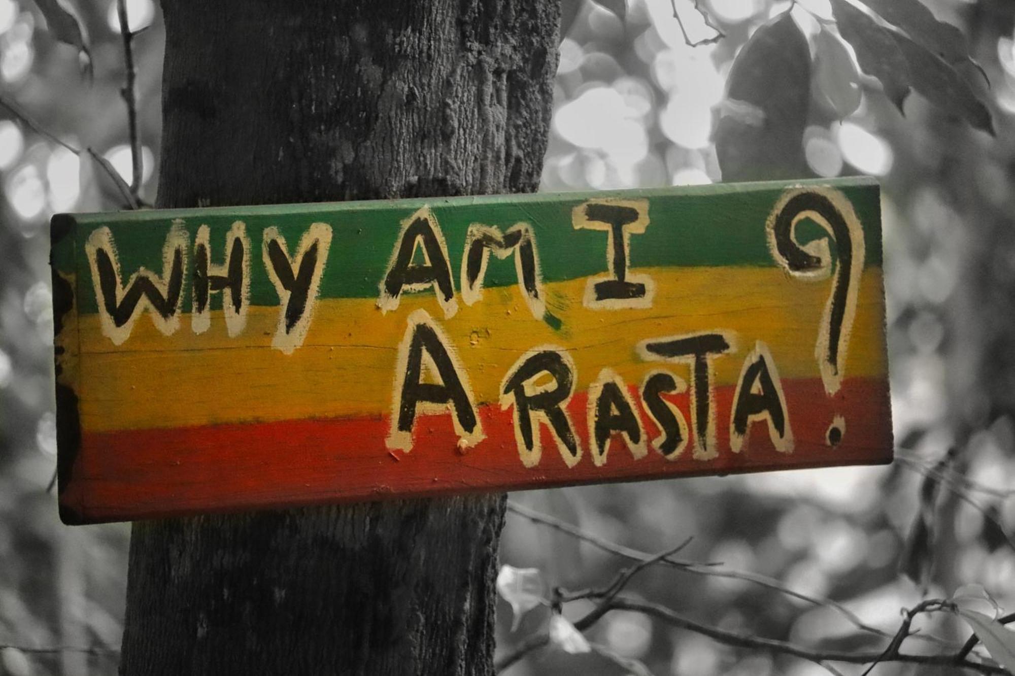 Land Of Promise - Reggae Bar & Eco Village Zanderij 外观 照片